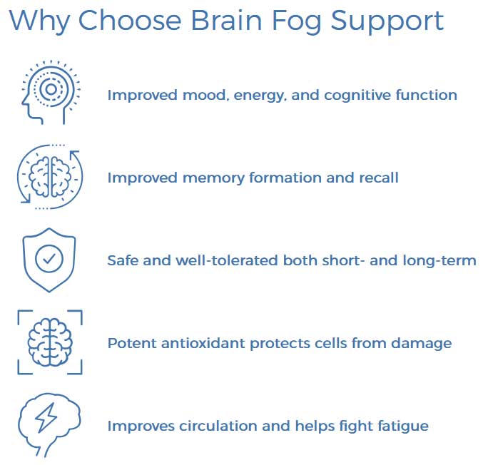 Benefits of brain fog support